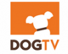 DogTV