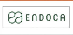 Endoca Christmas Stocking Filler