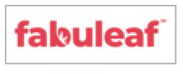 Full Spectrum Hemp Flower CBD Oil 300mg